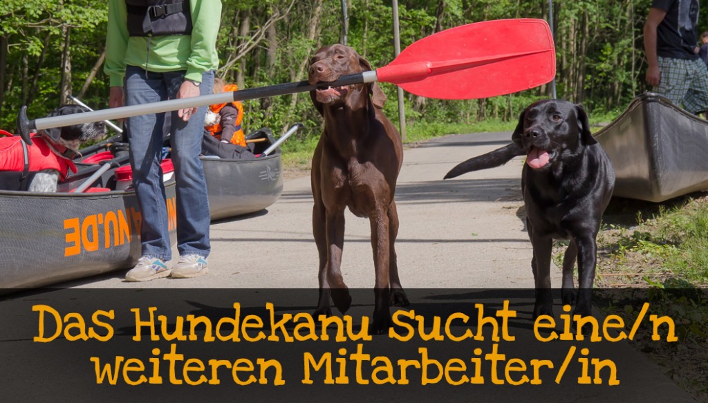 Hundekanu sucht Mitarbeiter